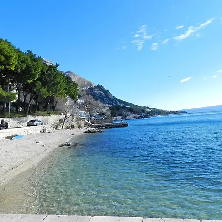 Iva Omis